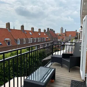 Divi Divi Zandvoort